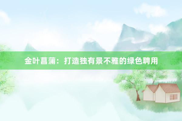 金叶菖蒲：打造独有景不雅的绿色聘用