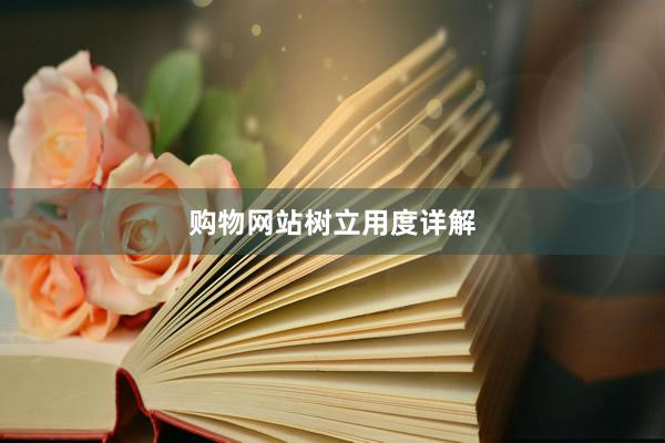 购物网站树立用度详解