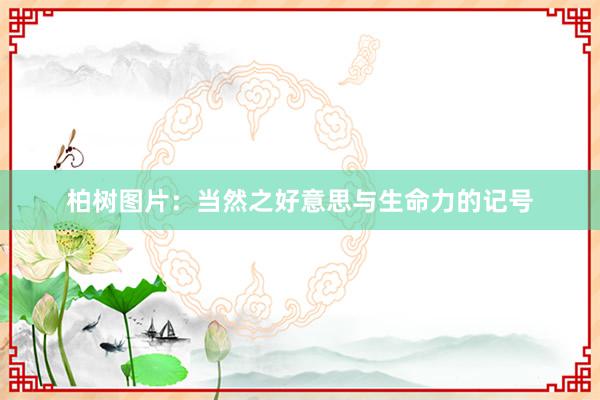 柏树图片：当然之好意思与生命力的记号